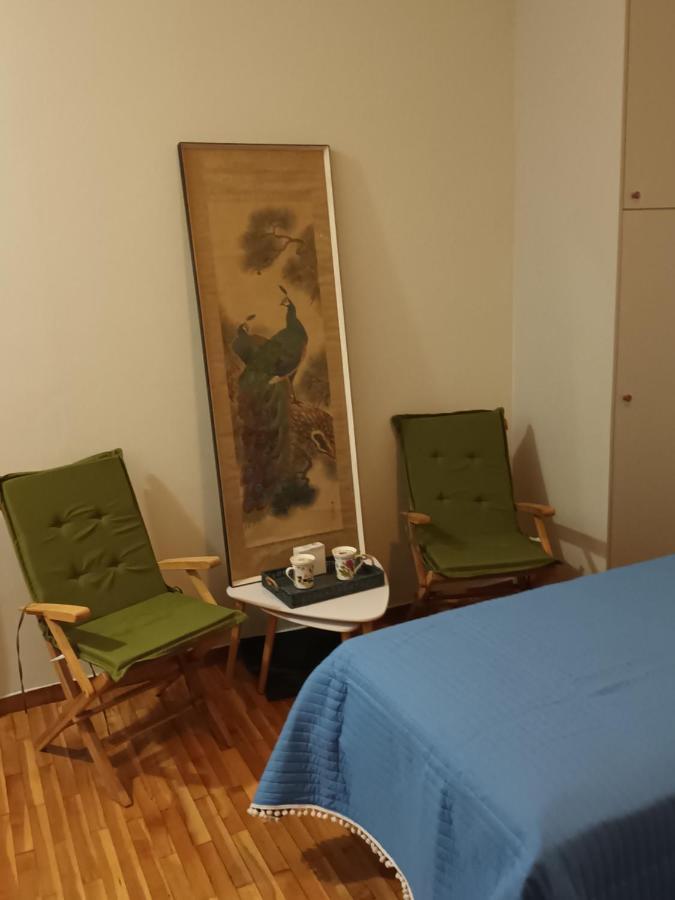 דירות אתונה Στούντιο Διπλα Στην Ακρόπολη מראה חיצוני תמונה